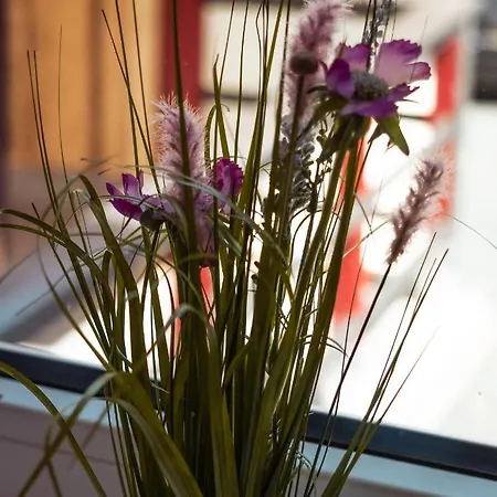 Appartementhaus- Bredner / Ii * Rathmannsdorf