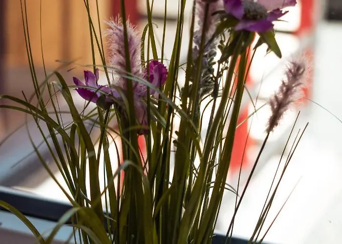 Appartementhaus- Bredner / Ii * Rathmannsdorf